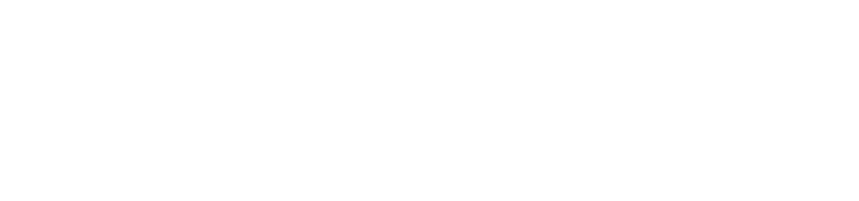 Panther_Logo_White_LG